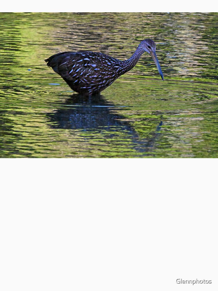 Limpkin Green by Glennphotos