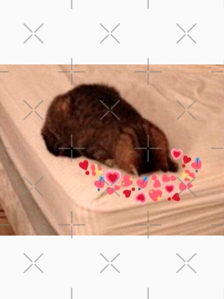 cat in love meme by valwerty