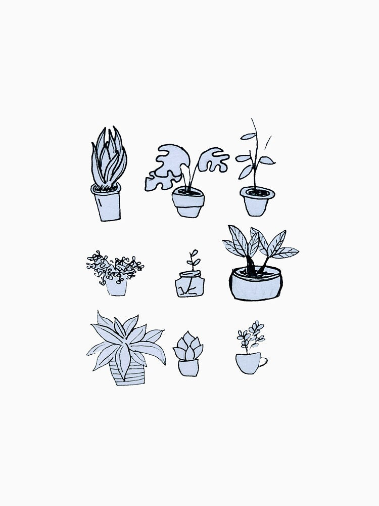 House plants by darcylouise