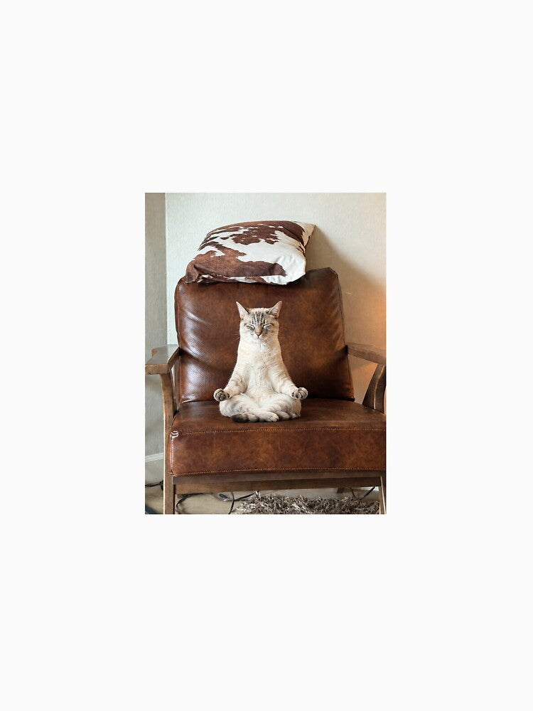 Meditating Cat meme by ChristinaW333