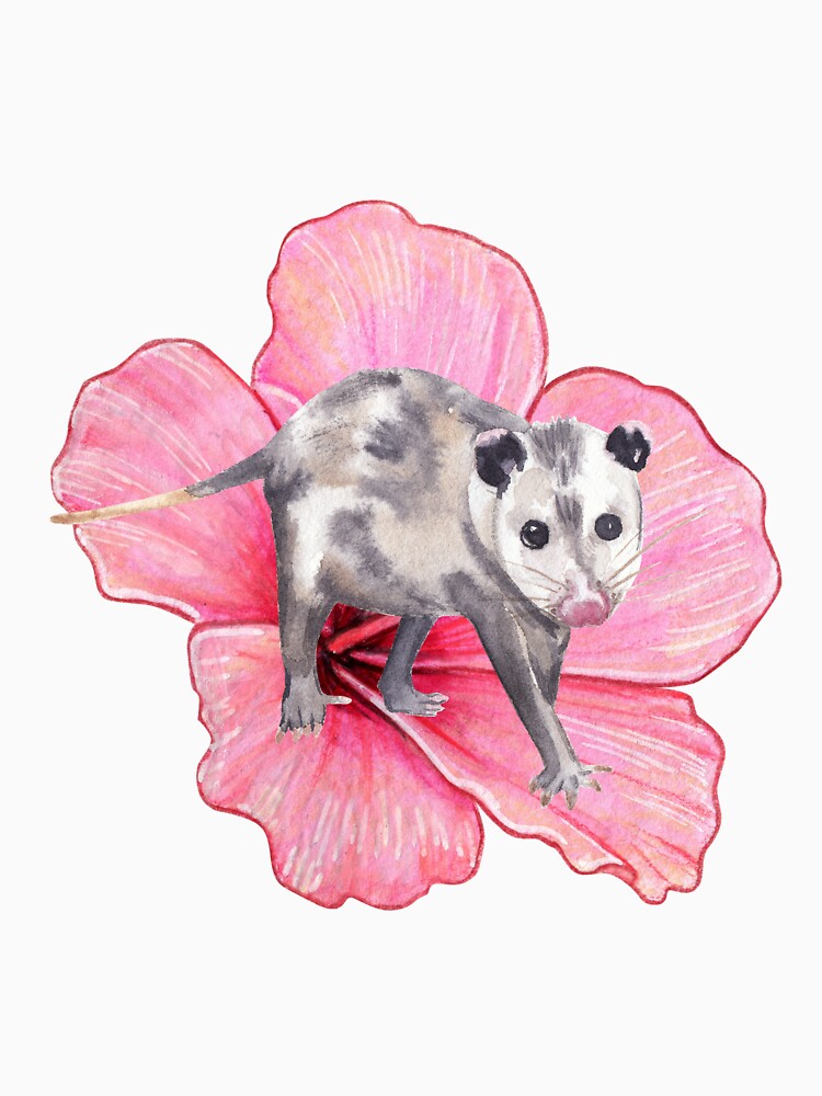 Hibiscus Opossum by SelenaJ