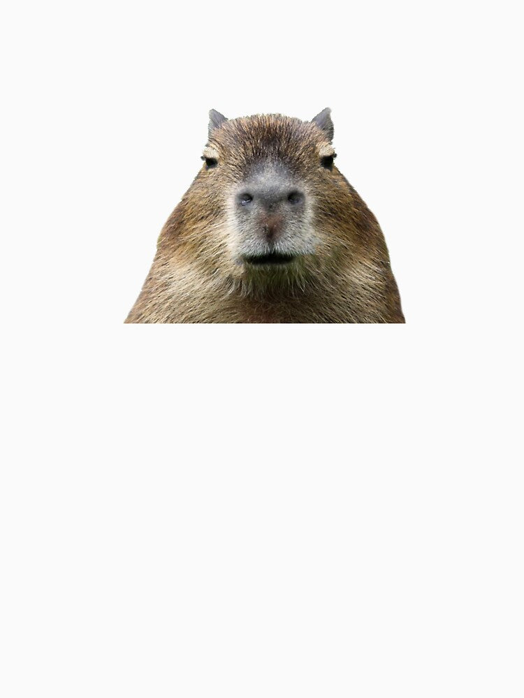 Capybara by SimpleUniverse