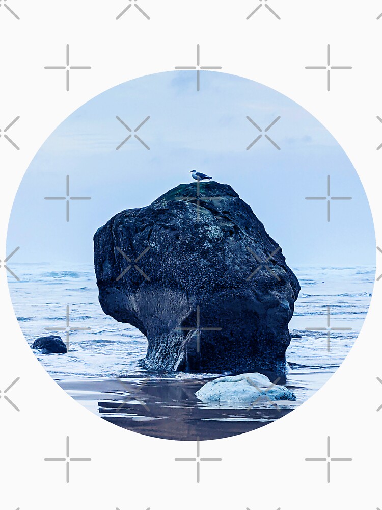 Seagull on a Rock (blue edit) by Grace Feucht