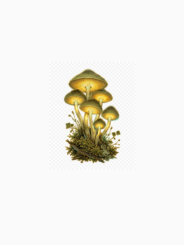 Bioluminescent Mushroom Forestcore — Glowing Cottagecore Fungi Art by Brackenlume Studio