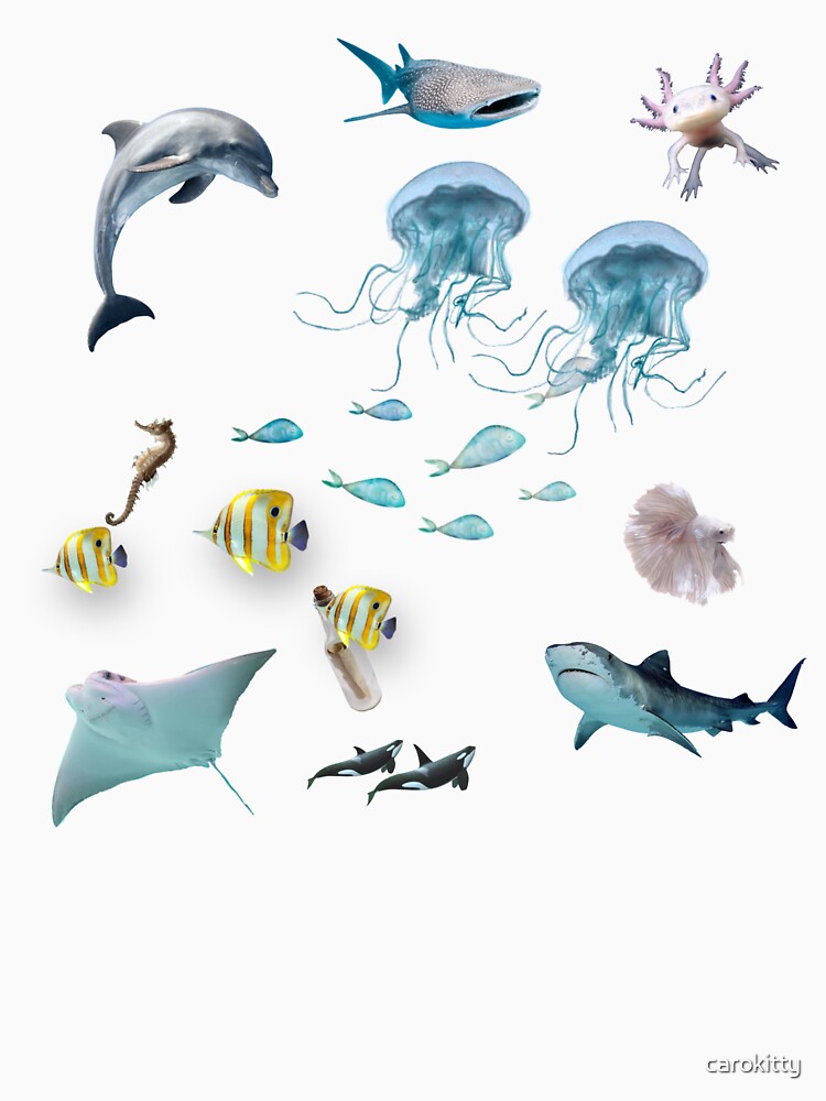 Ocean :) by carokitty