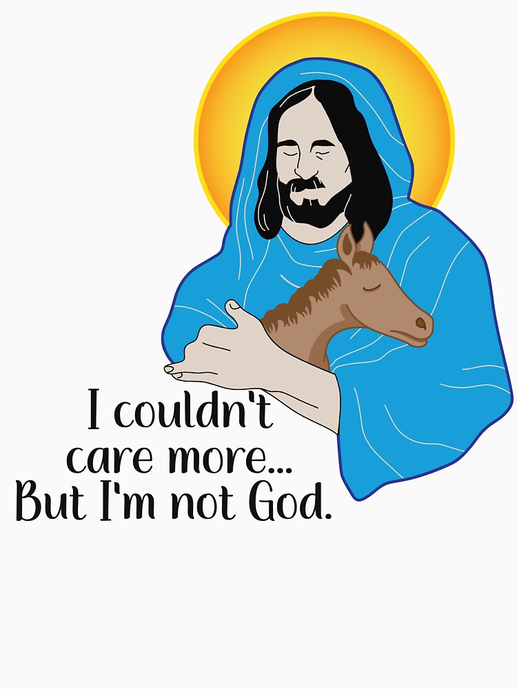 I Couldn't Care More...But I'm Not God by introVETed