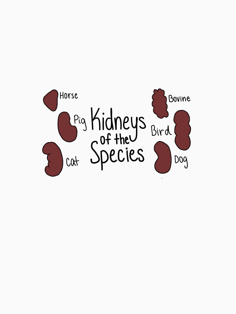 Kidneys of different species by Alyssas6299