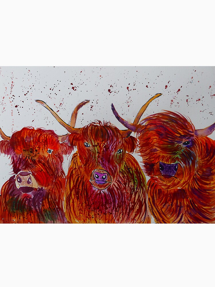 Three Unique Highland Cows by Casimirasart