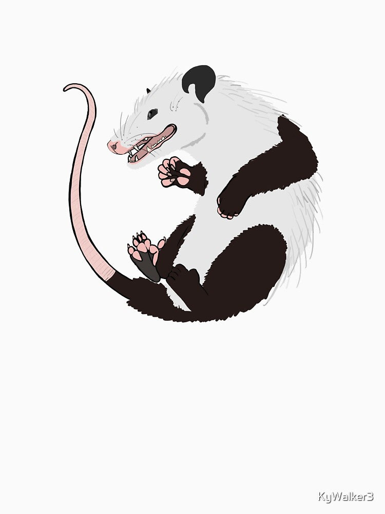Opossum by KyWalker3