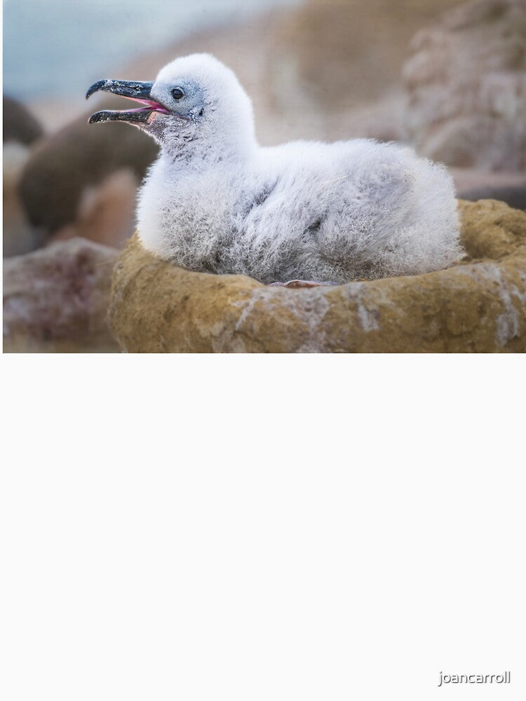 Albatross Chick in Nest by PhotoArt by Joan Carroll