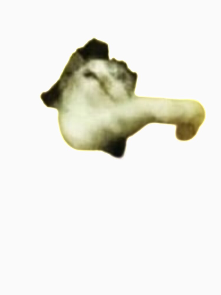 meme cat who said pspsps by jassine11