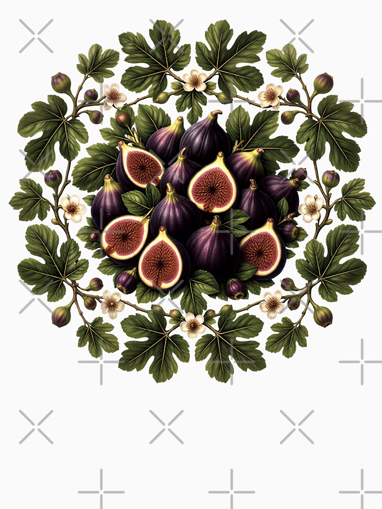 Heavens Here – Fig by Cosmocharis