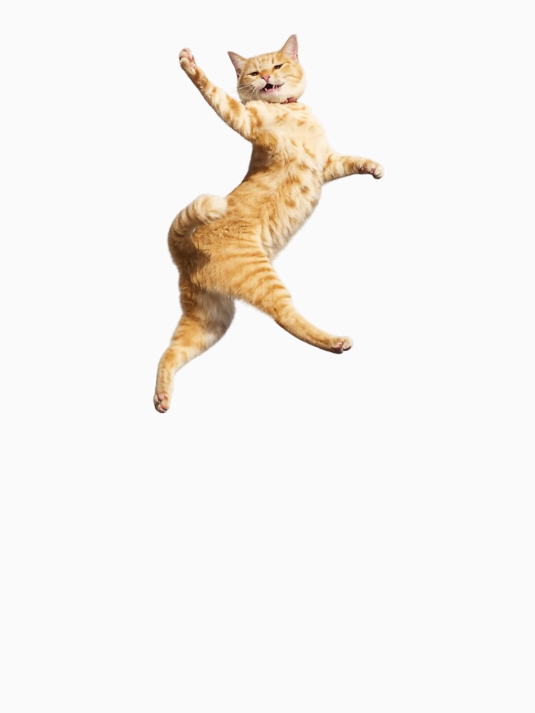 Cute dancing cat by t-patterns