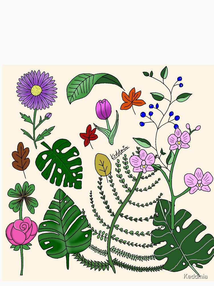 Plants botanical flowers by Olga Schembri by Keddmia