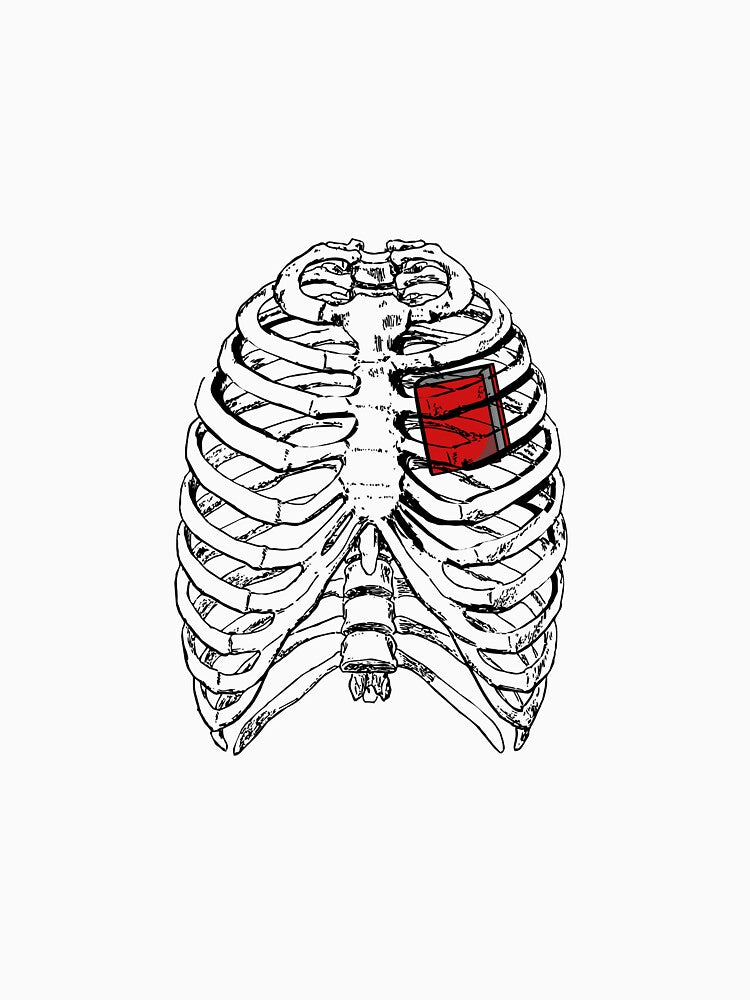 Book Heart by BookBiffle