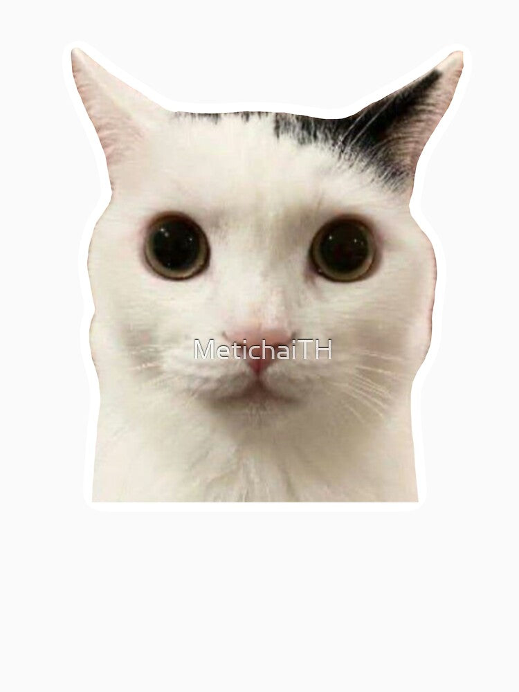 MEME Judging Cat - Unimpressed & Disapproving Stare (Collection7-6) by MetichaiTH