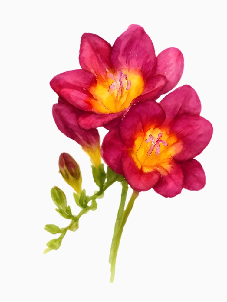 Freesia ‘Pink Passion’ by HOMETOWN86 Unisex