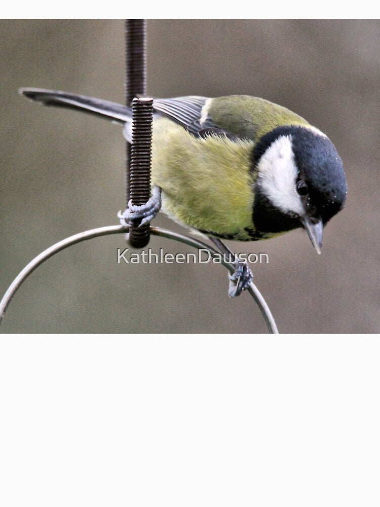 great tit by KathleenDawson