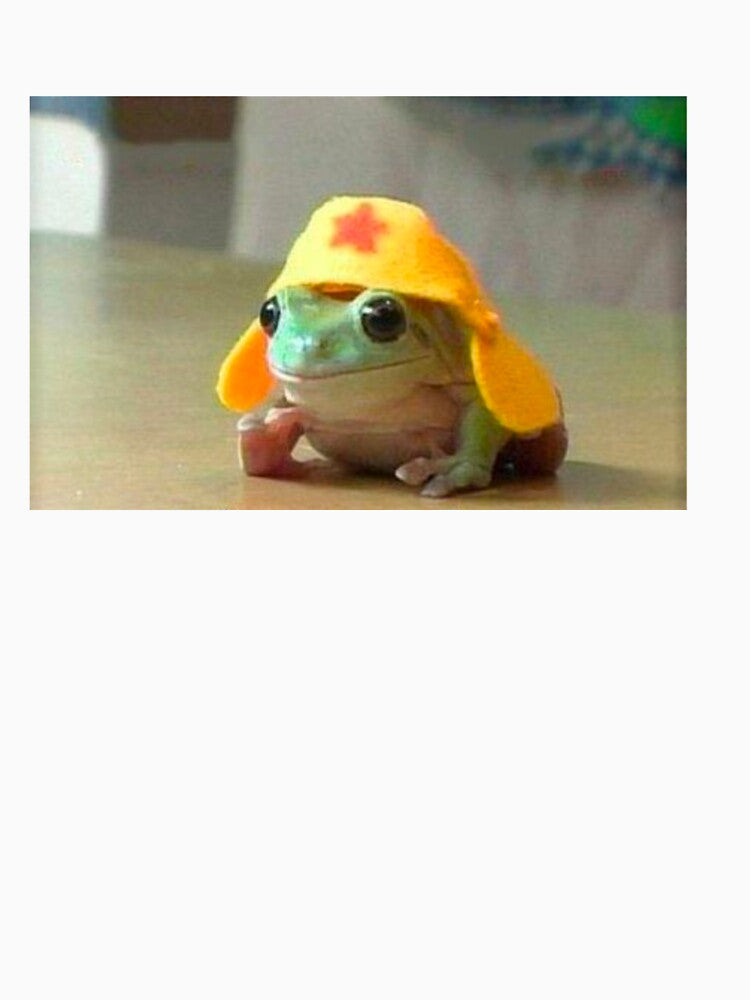 Tiny Frog, Big Hat by Lauren Kenney