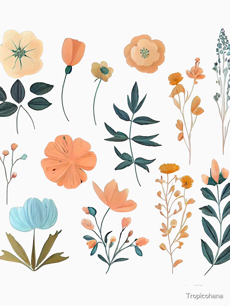 Hand Drawn Flowers by Tropicohana