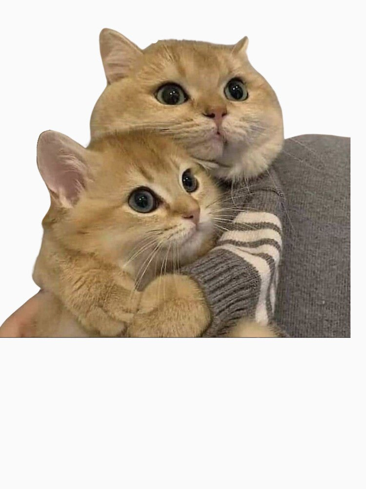 cat couple | cat lovers by jassine11