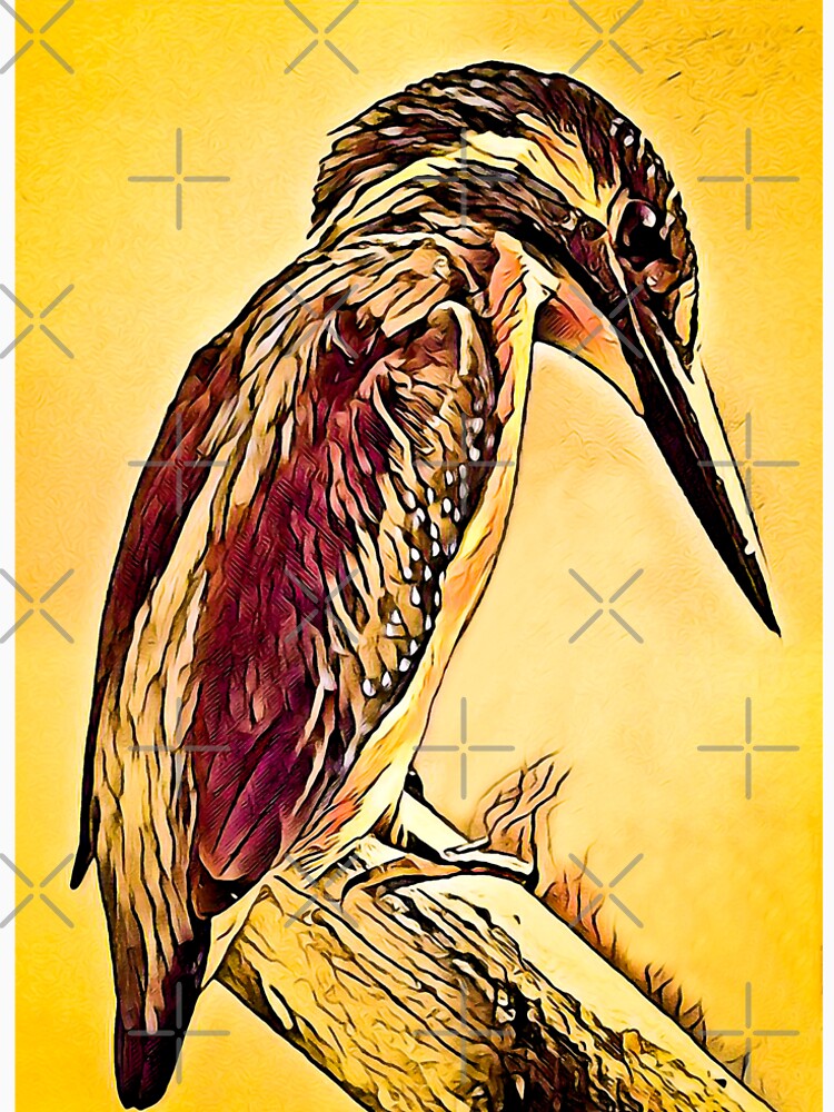 The Cute Feathered One by Imaginarium Studio
