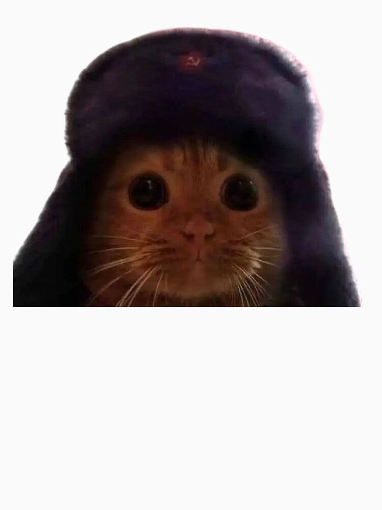funny cat lovers cute by jassine11
