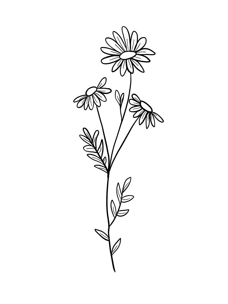 Single daisy drawing by conroyl09