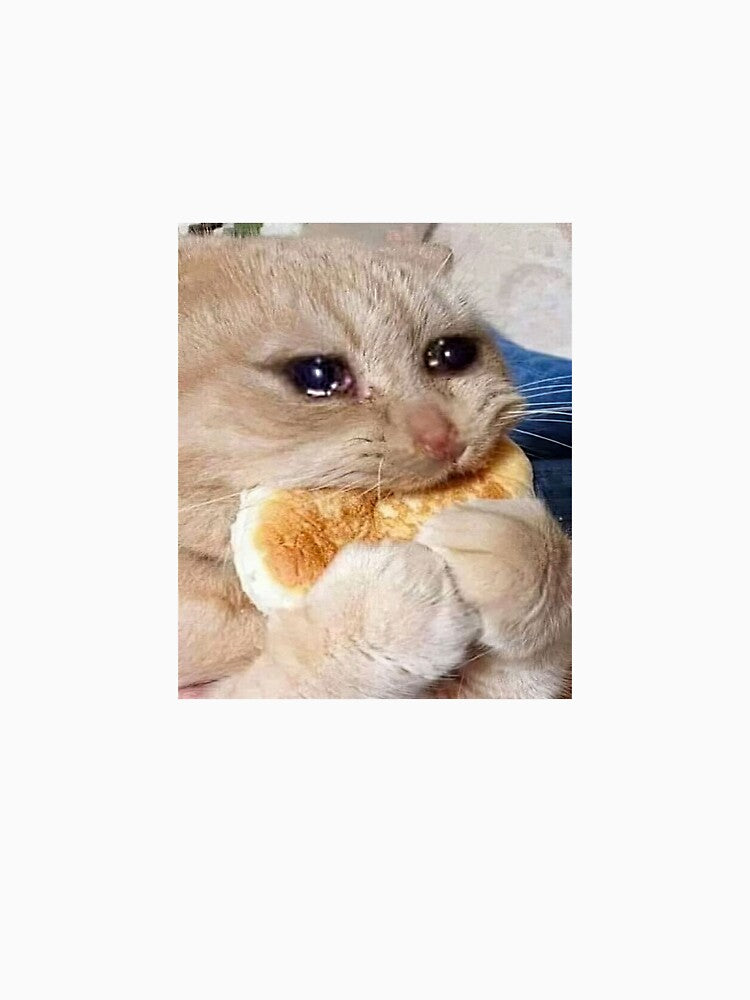 Sad Hungry Cat by lucyric