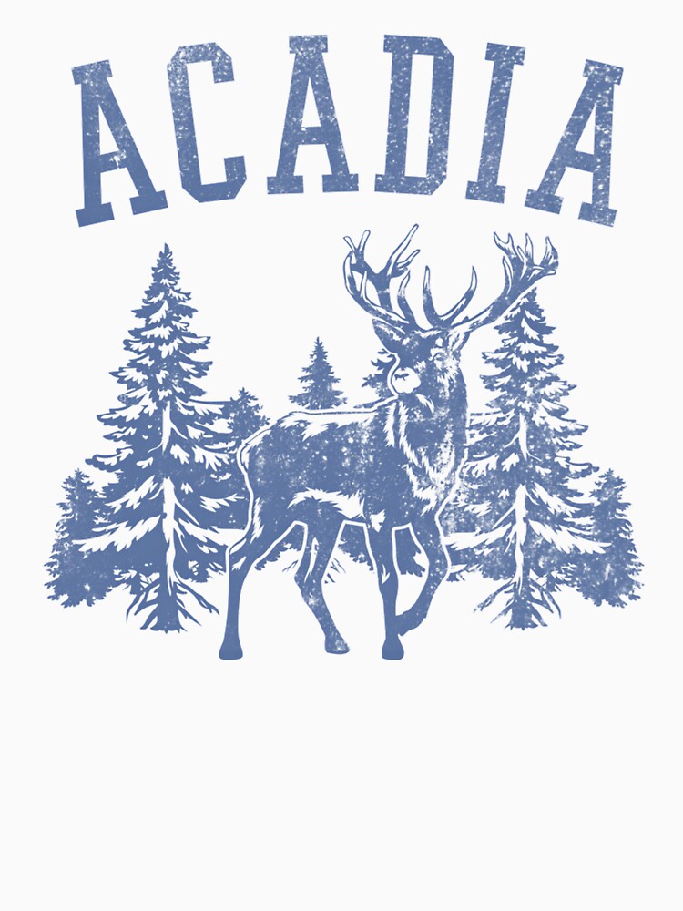 Acadia National Park Vintage Grey by Valentingpni