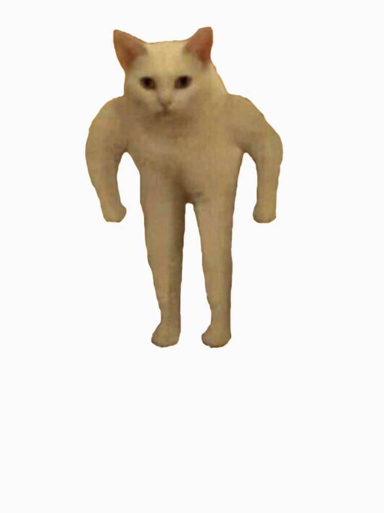 Muscular cat by starmarkets