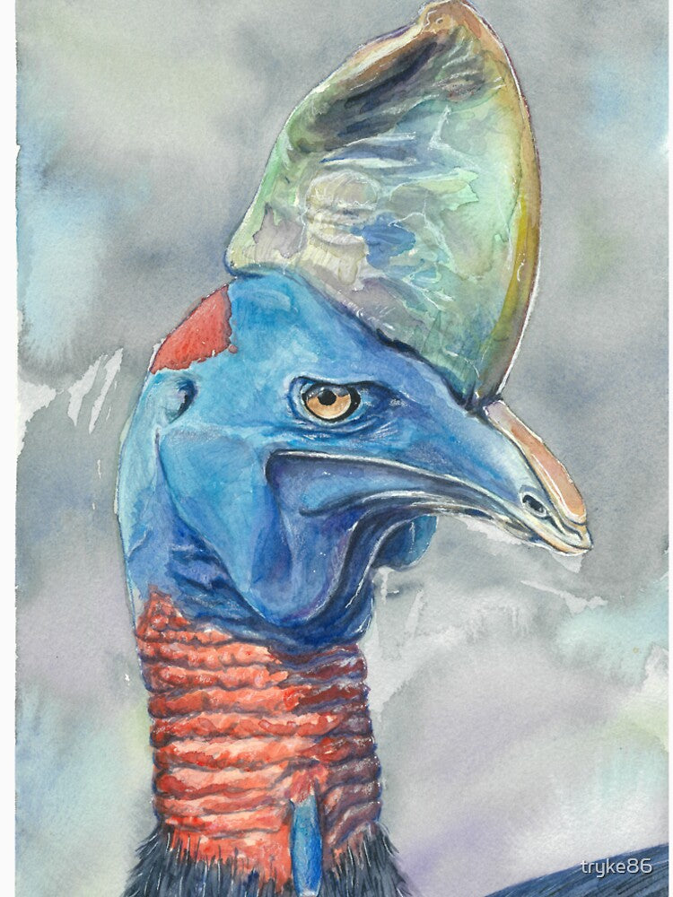 Cassowary stare by tryke86