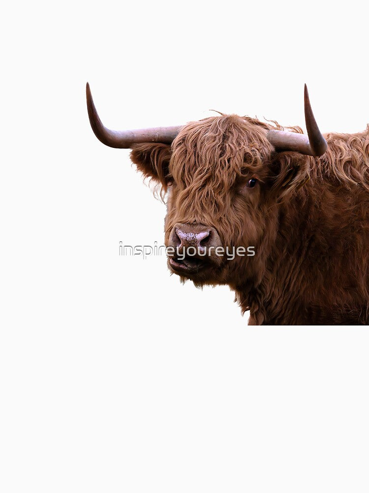 Love a highland cow by inspireyoureyes