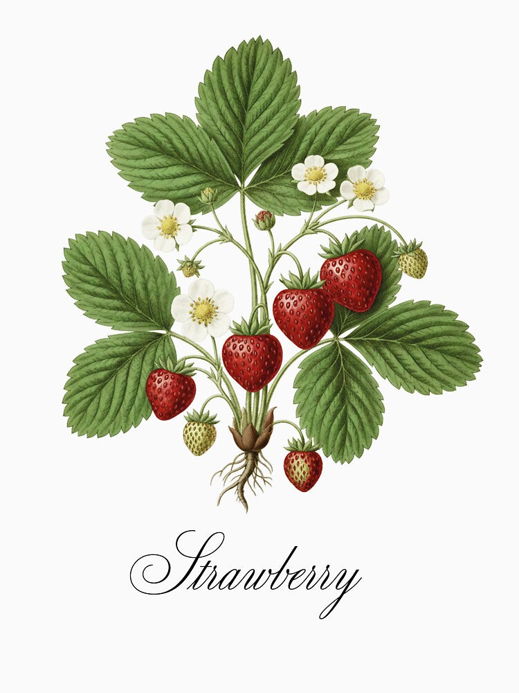 Great for botanical lovers by FlowaDesign