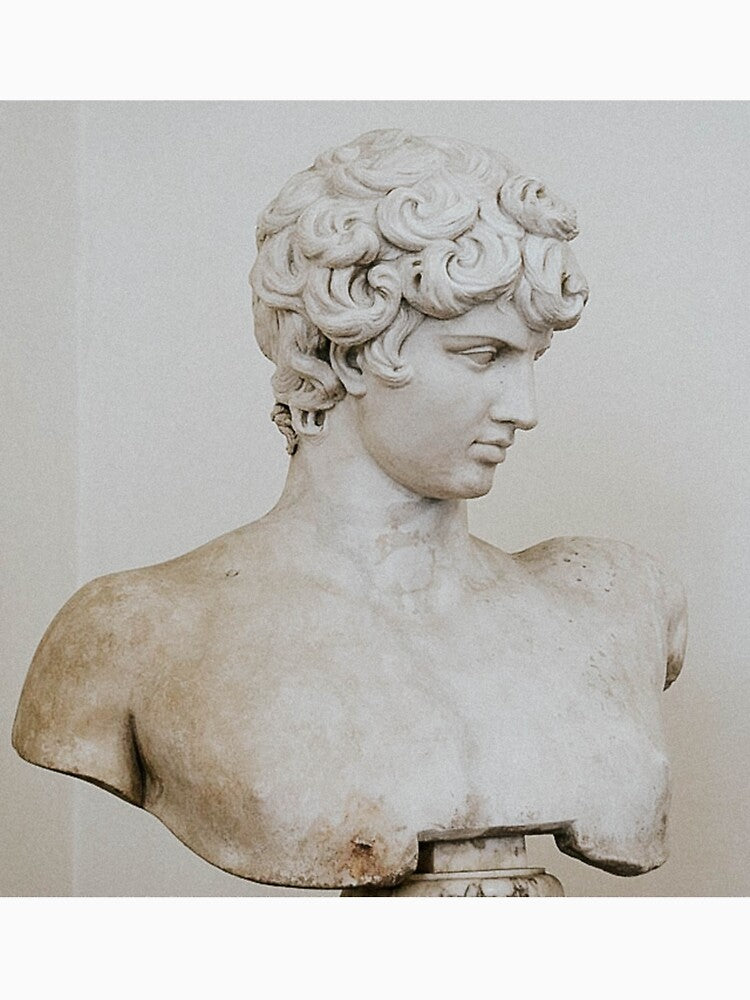 Ludovisi Antinous by apopofbeauty