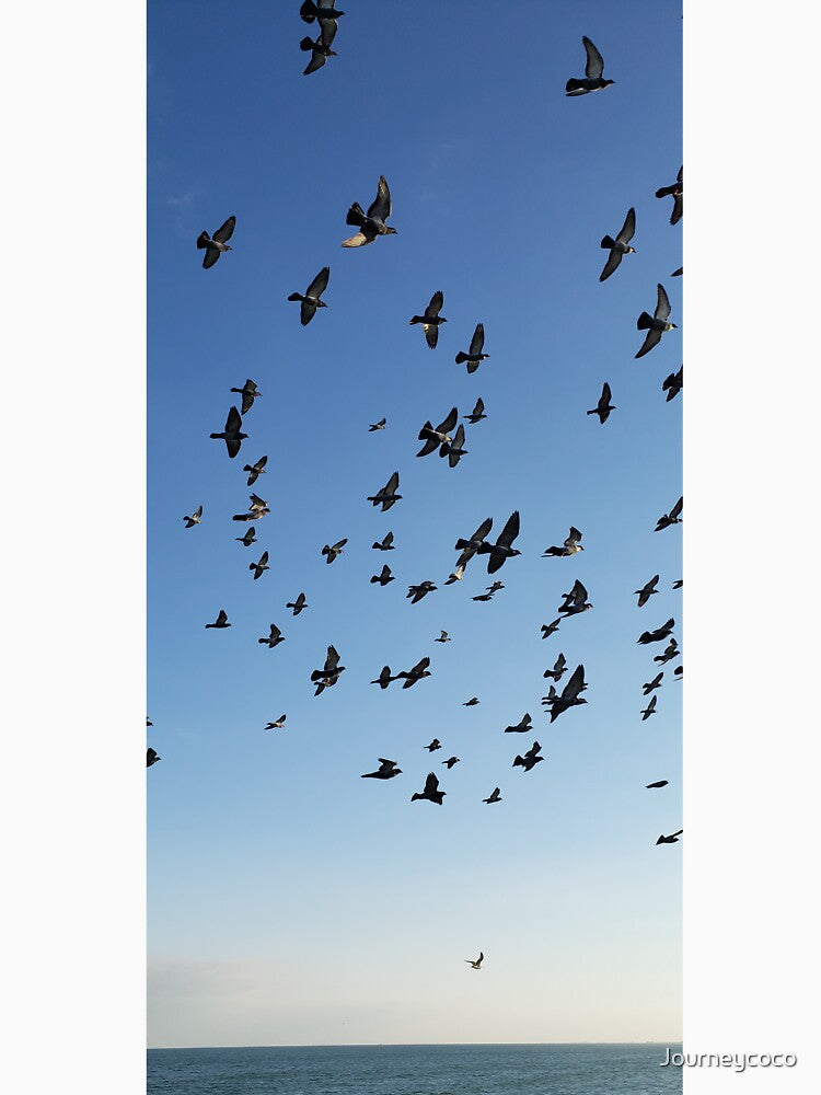 Birds in the sky aesthetic by Journeycoco