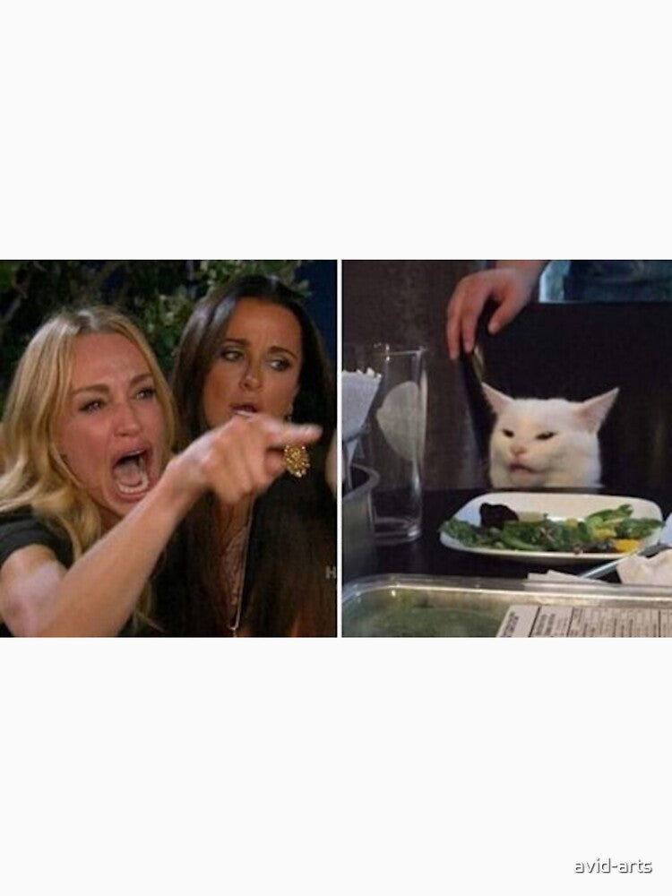 Yelling Girl Crying Cat Meme by avid-arts