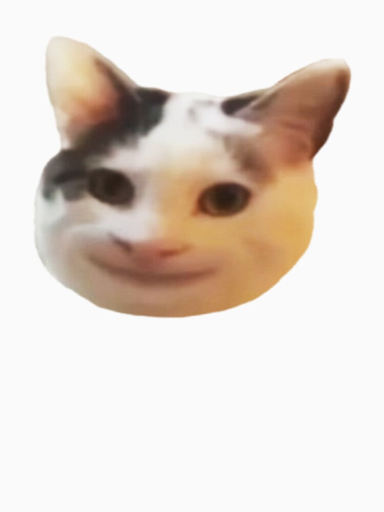 cat meme by tttatia