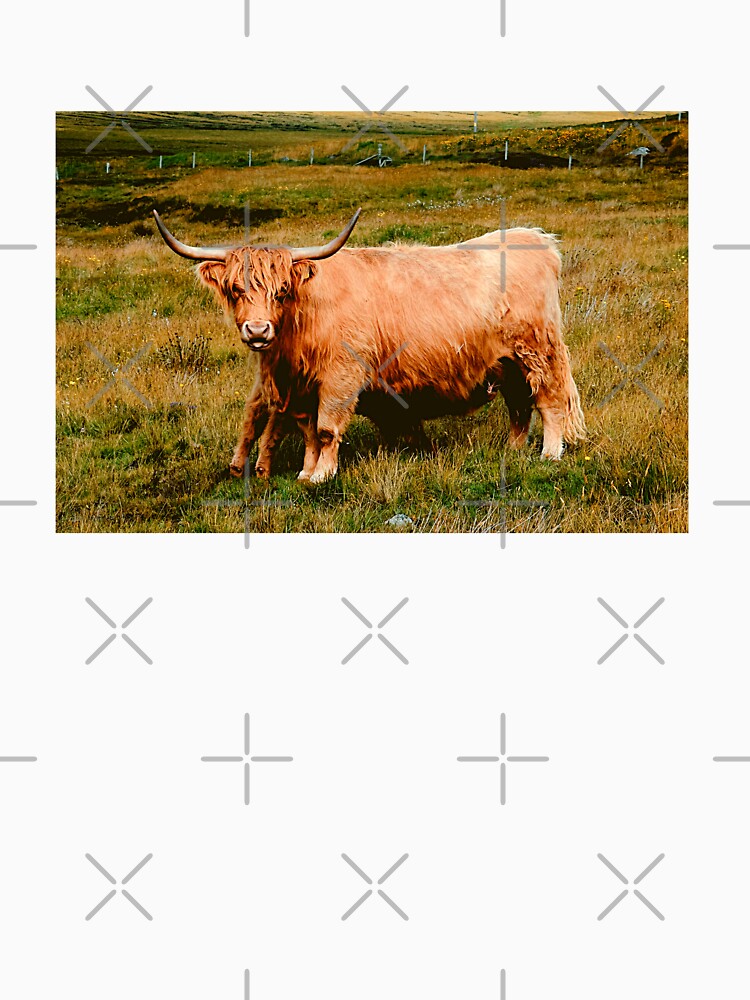 Highland Cow by TheAnimalZ00