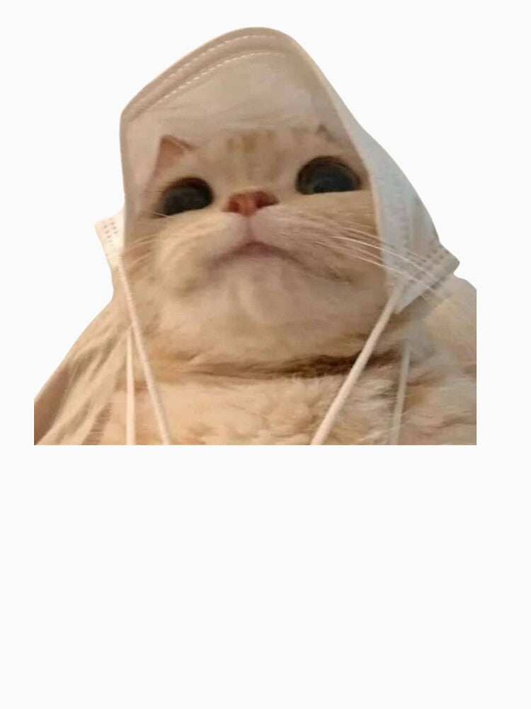 cat meme face | funny cat by jassine11