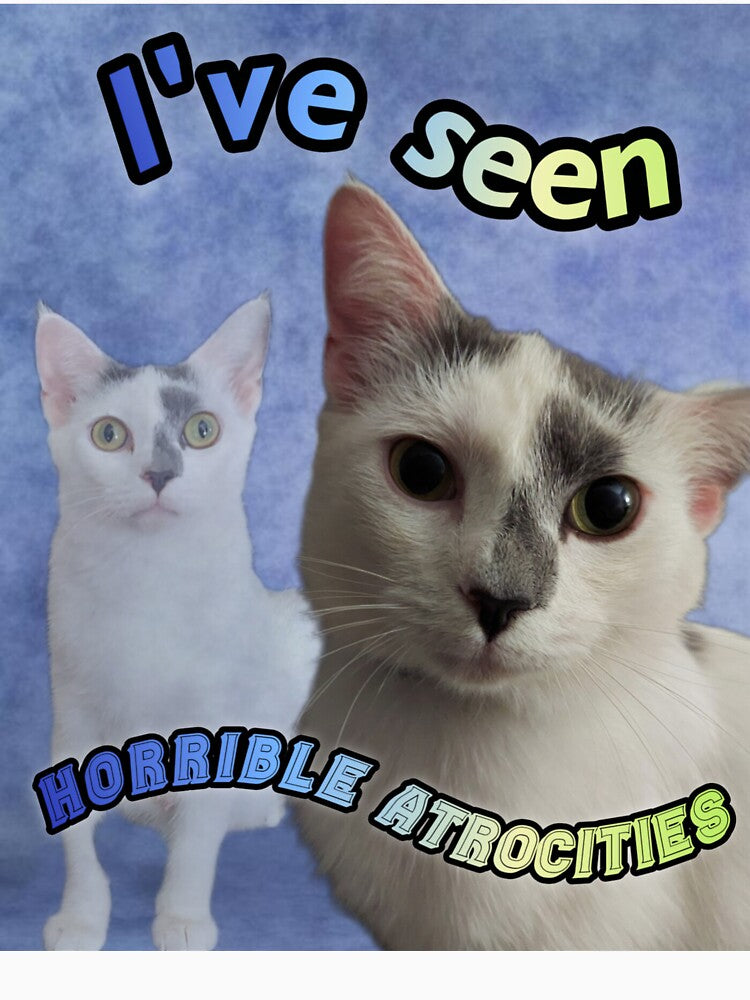 Funny Cat Glamor Shot Meme by Cat Haven & Rescue