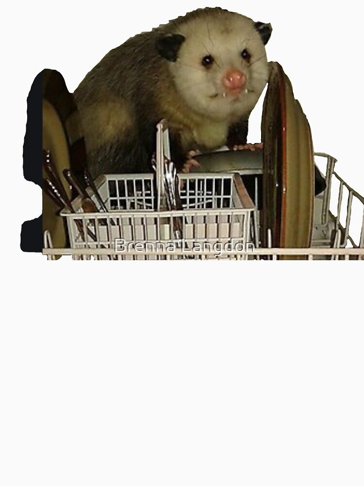 Dishwasher Opossum Meme by Brenna Langdon