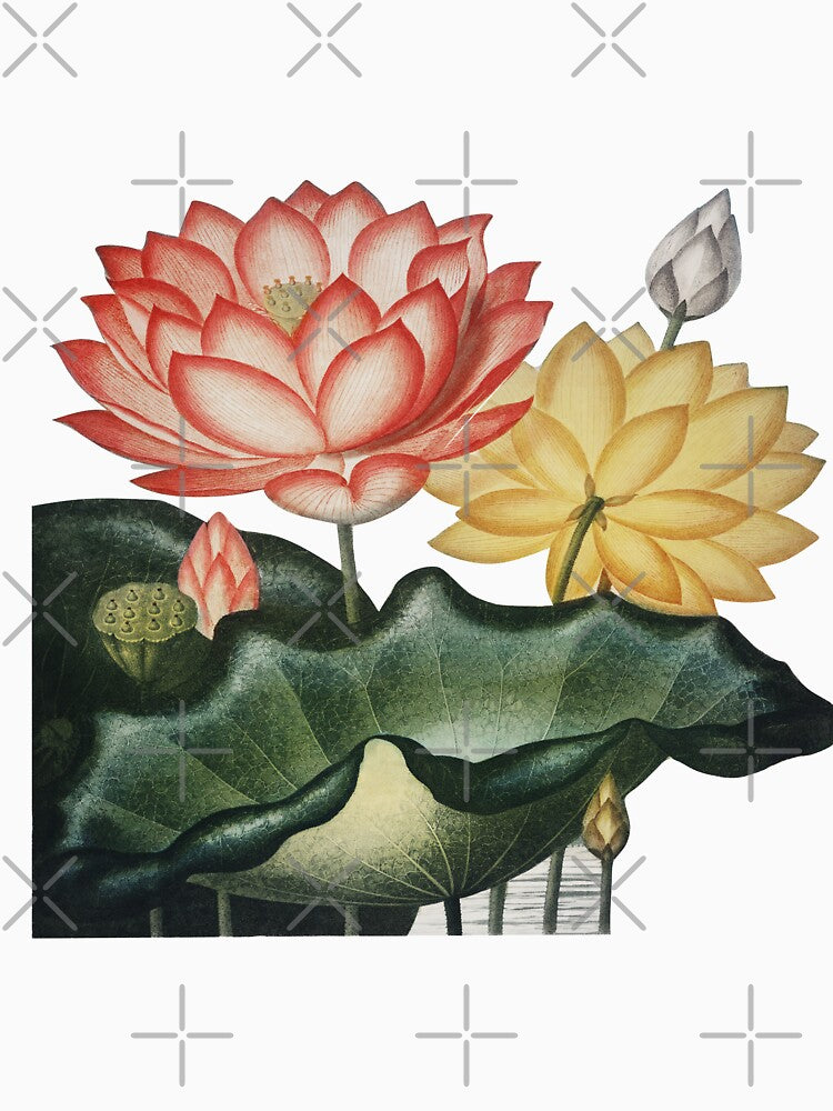 vintage lotus waterlilies by ZinZoe
