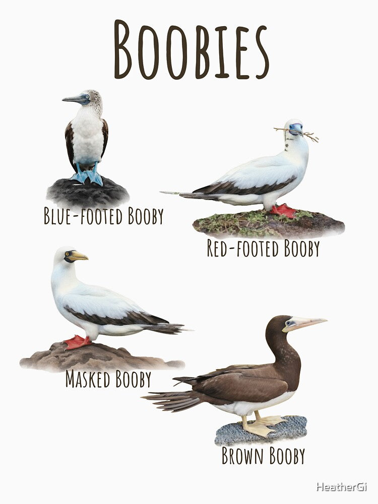 Boobies: Fowl Language by HeatherGi