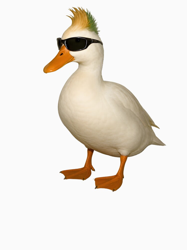 Punk Duck With Sunglasses by Peac7e