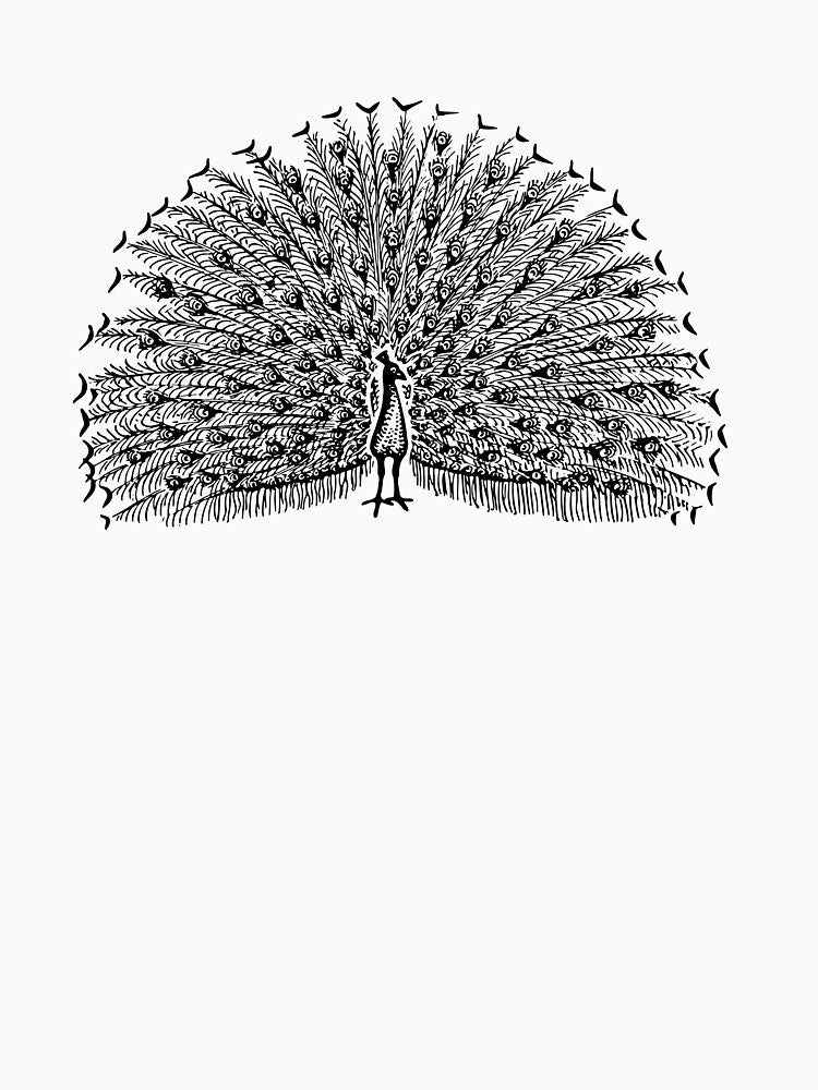 Peacock by orioleoutdoor