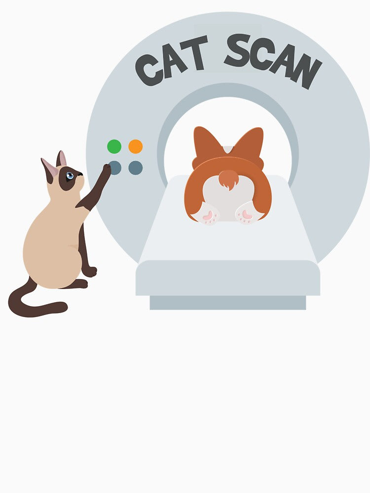 Cat Scan by introVETed