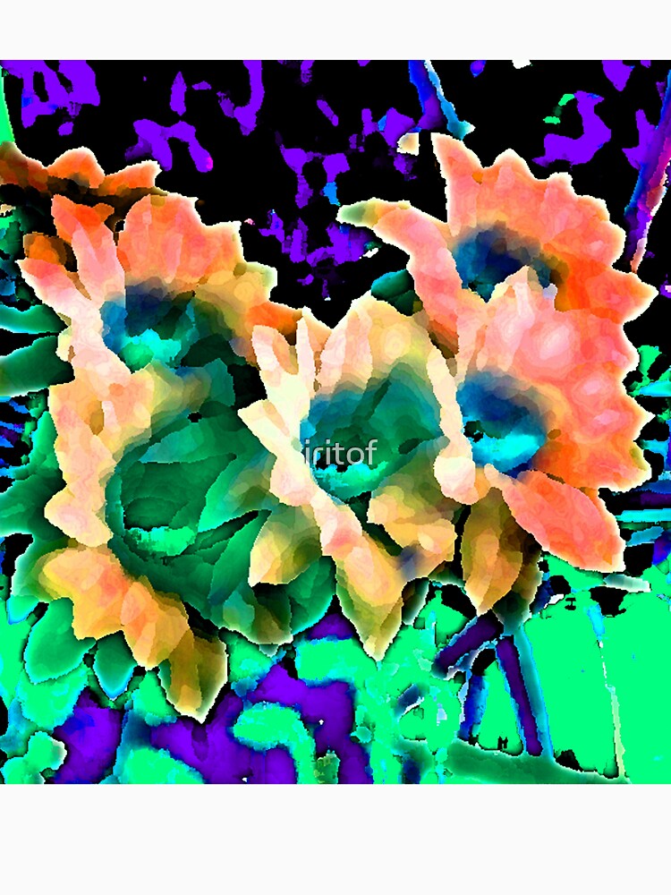 Orange shades flowers by Iritof by iritof