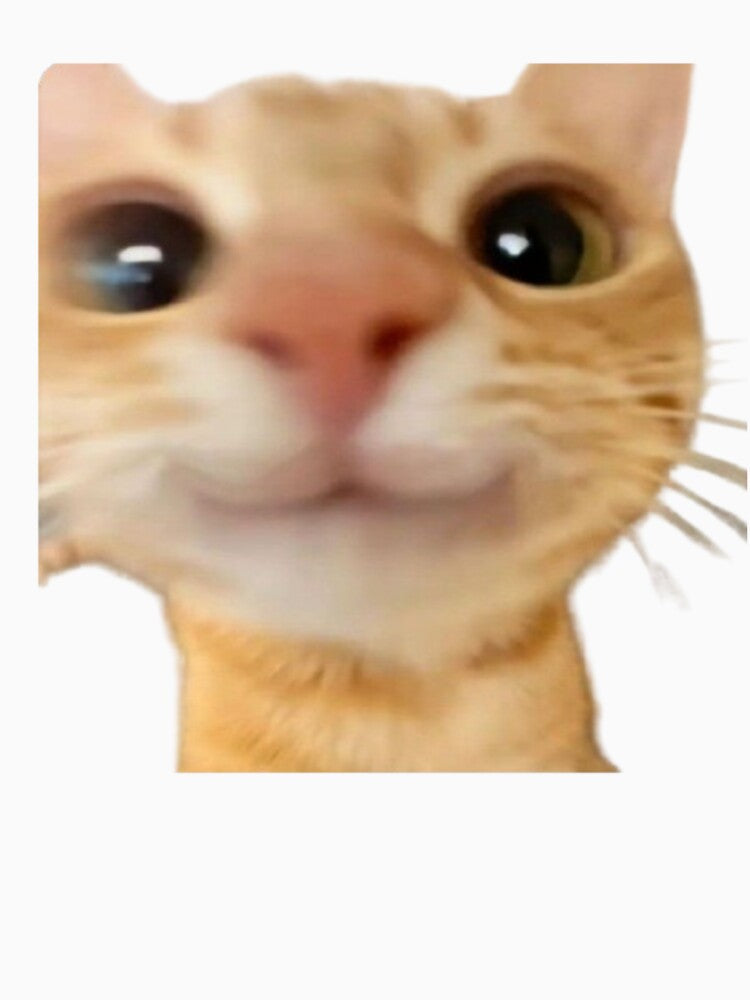 cute happy cat meme by Shrewd Mood