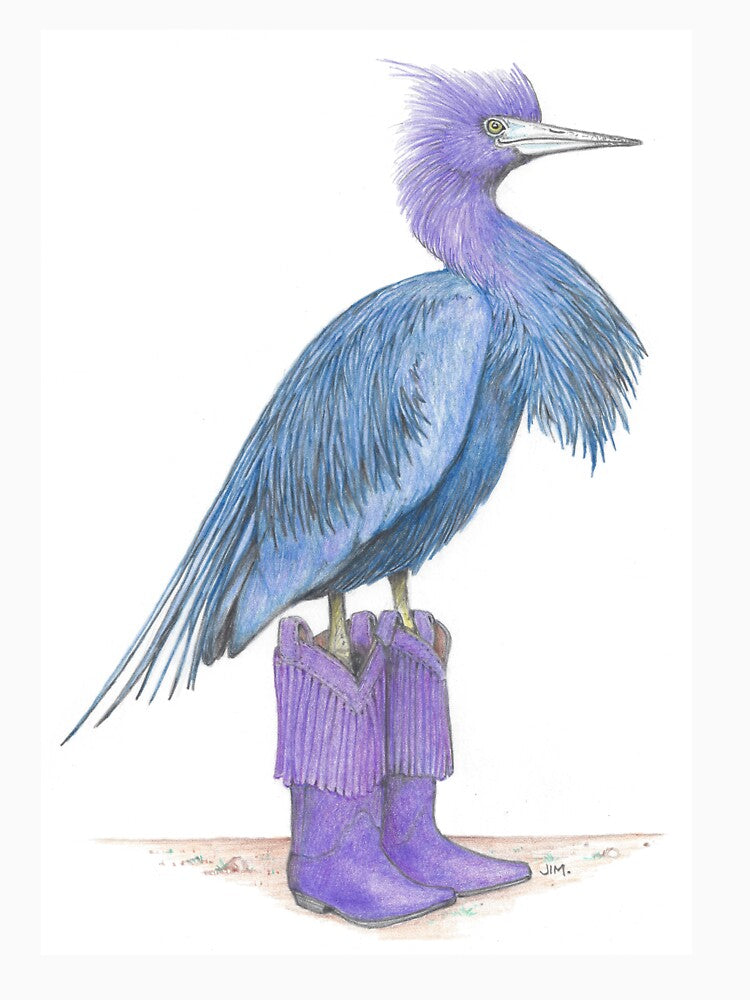 Little blue heron in cowgirl boots by JimsBirds